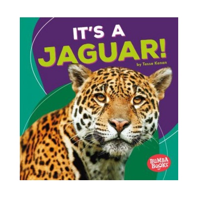 It's a Jaguar!