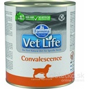 Vet Life dog Convalescence 300 g