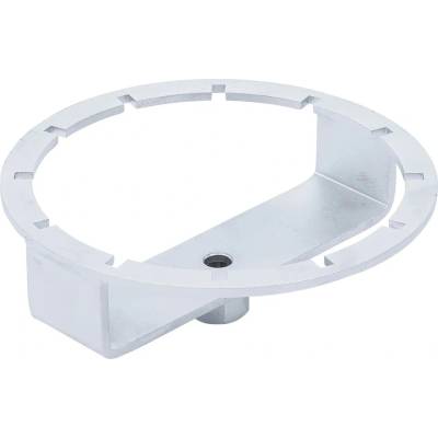 BGS 7029