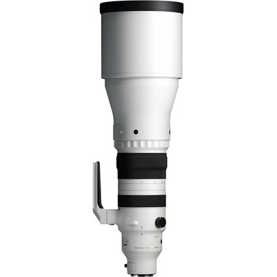 SIGMA 300-600mm F4 DG OS Sports pro Sigma L