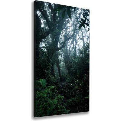 Vertikálny foto obraz na plátne Dažďový prales 50x100 cm