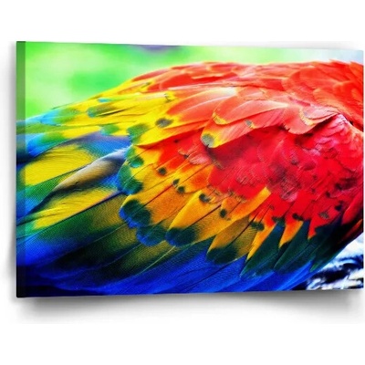 Sablio Obraz Farebné perie 2 - 90x60 cm