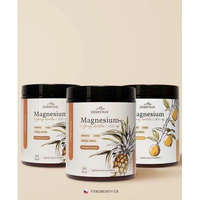 Herbs Energy Magnesium Drink Ananas 2 x 30 dávek + Magnesium Drink Citron 30 dávek