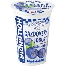 Hollandia Gazdovský jogurt čučoriedka 200 g