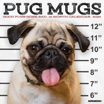 Willow Creek Press Pug Mugs 2026 12 X 12 Wall Calendar | Willow Creek Press