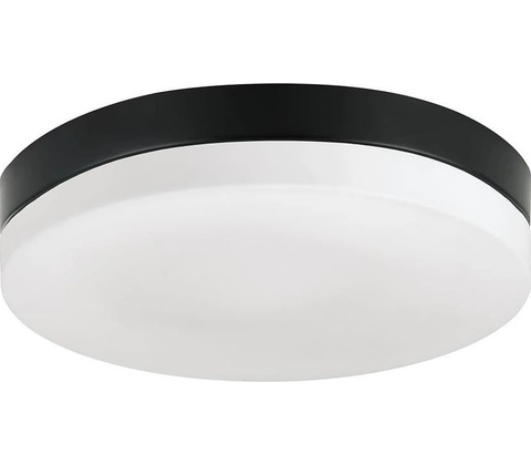 Prezent 67115