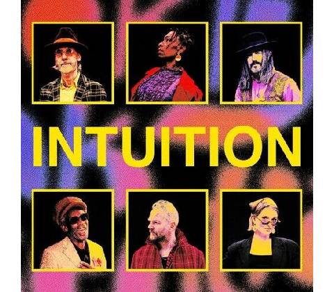 BROOKLYN FUNK ESSENTIALS - INTUITION LP