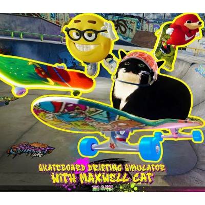 Drifting with Maxwell Cat: The Game
