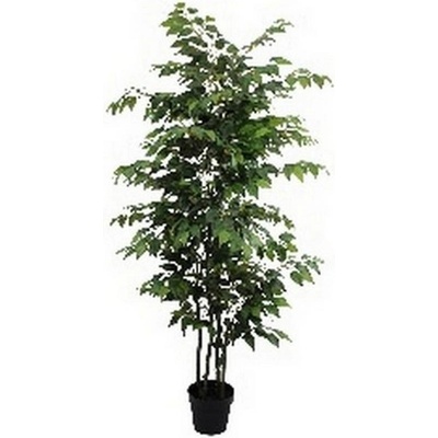 FIKUS V PLAST.KVETINÁČI ZEL.180CM