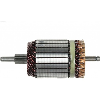 AS-PL Rotor štartéra SA3005