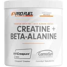 ProFuel Creatine + BETA-ALANINE 300 g