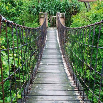 Dimex FL170-025 Fototapeta na podlahu Footbridge rozměry 170 x 170 cm