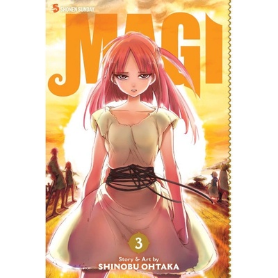 Magi: The Labyrinth of Magic, Vol. 3