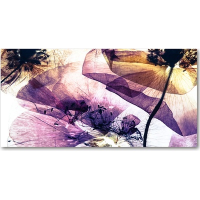 Fotoobraz na skle suché maky 100x50 cm