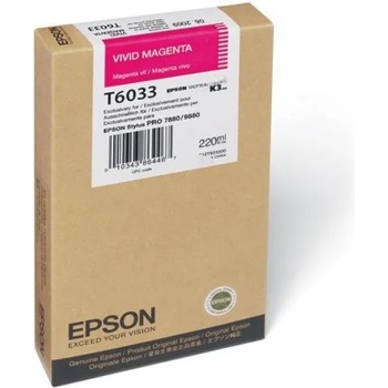 Epson T6033