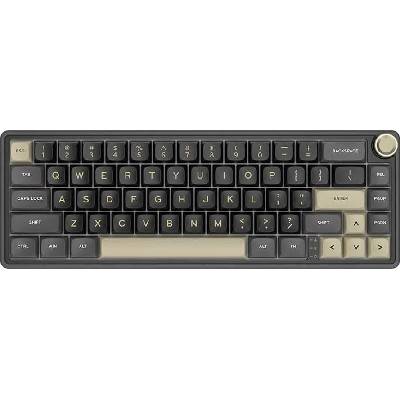 Royal Kludge R65 RGB Phantom laid Chartreuse Switch US