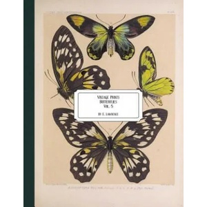 Vintage Prints: Butterflies: Vol. 5 | E. Lawrence (ISBN: 9781726272193)