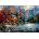 Art Puzzle - Puzzle Pinson: Fall Reflection - 3 000 piese