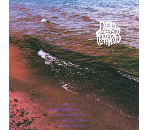Full Circle - Dead Feathers CD
