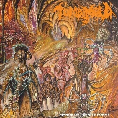 Manor Of Infinite Forms - Tomb Mold LP