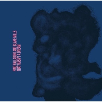Pino Palladino And Blake Mills - That Wasn't A Dream (CD) (0602478506710)