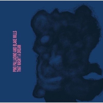 Pino Palladino And Blake Mills - That Wasn't A Dream (CD) (0602478506710)