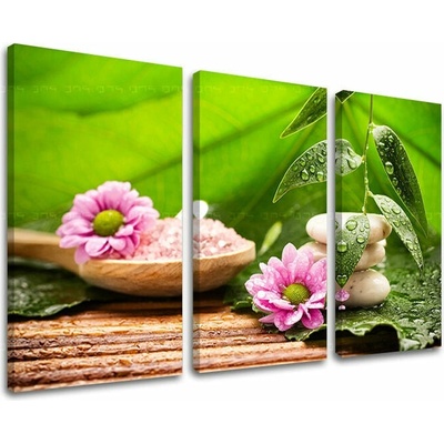 Obraz na stenu FENG SHUI - 90x60 cm