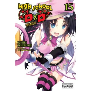 HIGH SCHOOL DXD V15 LN (ISBN: 9781975350444)