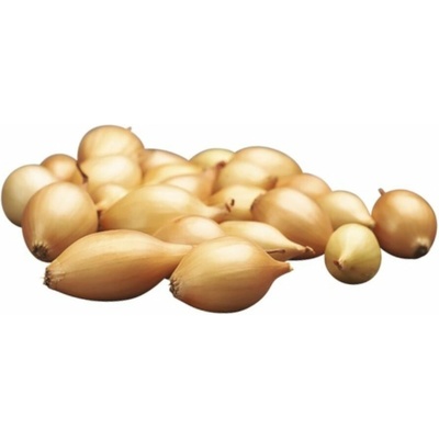 CIBUĽA SADZAČKA Shakespeare 0,25kg 8-21mm