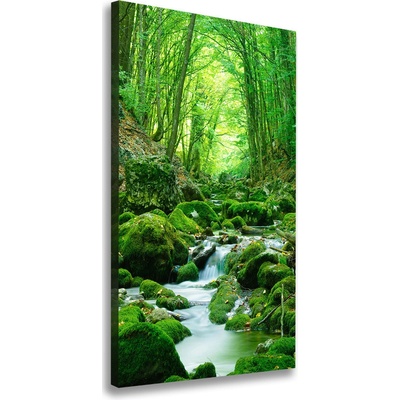 Vertikálny foto obraz na plátne Potok v džungli 50x100 cm