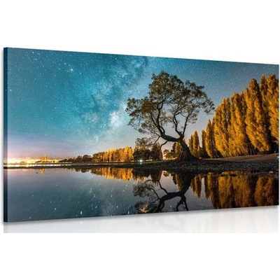 Obraz strom pod hvězdnou oblohou - 120x80