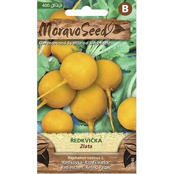 Reďkovka ZLATA žltá MoravoSeed