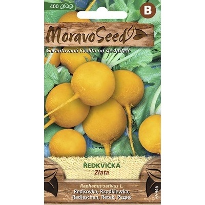 Reďkovka ZLATA žltá MoravoSeed