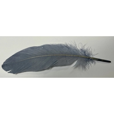 Veniard Husí Peří Goose Shoulder Stiff Medium Grey 4 ks
