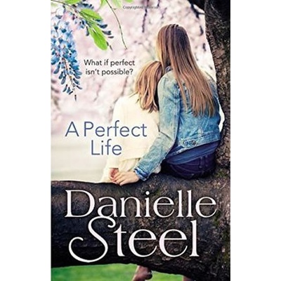 Perfect Life - Steel Danielle