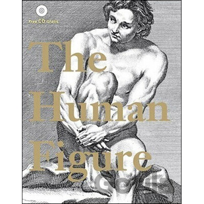 Human Figure