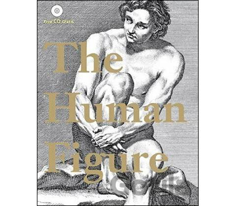 Human Figure