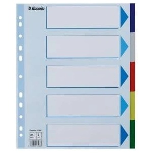 Esselte Binder holders for A4 PP Maxi 5 cards (10K396A)