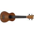 Ashton UKE 500S