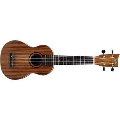 Ashton UKE 500S