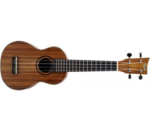 Ashton UKE 500S