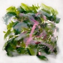 MIZU - FOREST SCENES LP