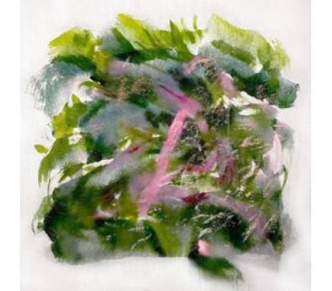 MIZU - FOREST SCENES LP