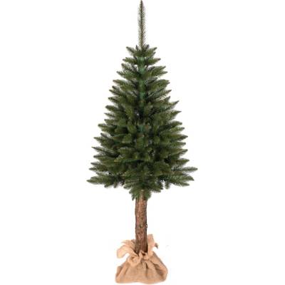 ROY Choinki Smrek klasický na kmeni 150cm