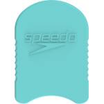 Speedo Team kickboard