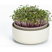 Plastia klíčiaca miska MICROGREENS - slonová kosť