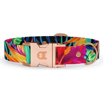 Obodog obojek BASIC Collection