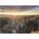 Dino - Puzzle Rocky walls - 1 000 piese