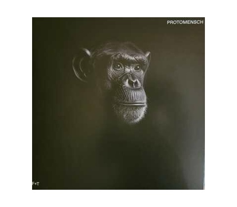 Felsmann + Tiley: Protomensch LP