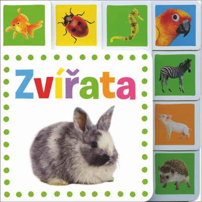 Zvířata - Svojtka&Co.